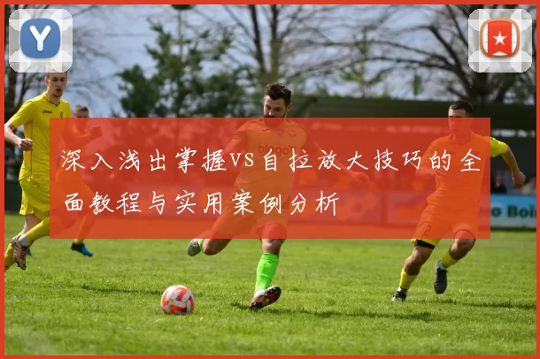 深入浅出掌握vs自拉放大技巧的全面教程与实用案例分析