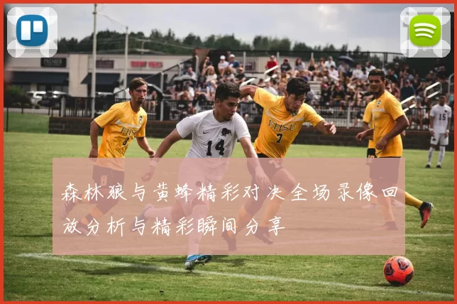 森林狼与黄蜂精彩对决全场录像回放分析与精彩瞬间分享